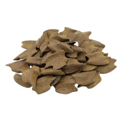 عود مروكي أزرق كبير 100 غرام ᴼ²